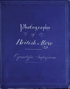 Anna Atkins - Photographs of British Algae Cyanotype_Impressions